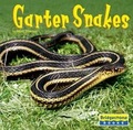 Cover: Garter Snakes - Capstone Press