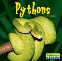 Enlarge image Cover: Pythons - Capstone Press