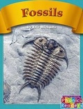 Cover: Fossils - Capstone Press