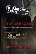 Cover: The Fortunate Accident - Booklocker.com
