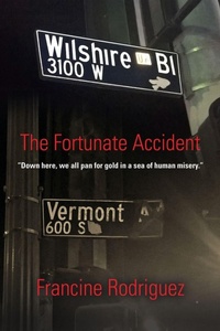 Enlarge image Cover: The Fortunate Accident - Booklocker.com
