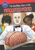 Cover: Baffling Case of the Battered Brain - Tumblehome Learning Inc