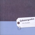 Cover: Geheimagenten - 375 Media GmbH