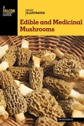 Cover: Basic Illustrated Edible and Medicinal Mushrooms - Falcon Press Publishing