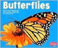 Cover: Butterflies - Capstone Press