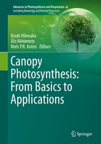 Abbildung von: Canopy Photosynthesis: From Basics to Applications - Springer