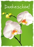 Cover: CD-Geschenk-Card Dankesch&ouml;n! - Gerth Medien