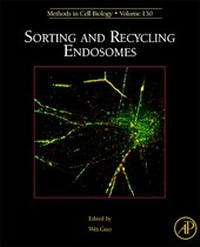 Enlarge image Cover: Sorting and Recycling Endosomes: Volume 130 - Academic Press