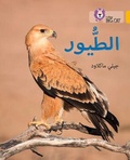 Cover: Birds - Collins