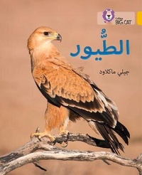 Enlarge image Cover: Birds - Collins