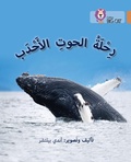 Cover: Journey of Humpback Whales - Collins