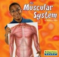 Cover: The Muscular System - Capstone Press