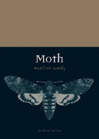 Enlarge image Cover: Moth - Reaktion Books