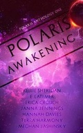 Cover: Polaris Awakening - Patchwork Press