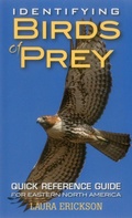 Cover: Identifying Birds of Prey - Stackpole Books