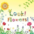 Cover: Look! Flowers! - Little Bee Books Inc.
