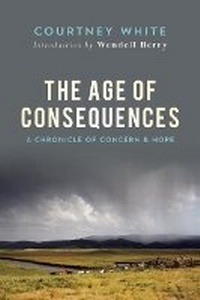 Enlarge image Cover: The Age of Consequences - Counterpoint