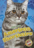 Cover: American Shorthairs - Bellwether Media