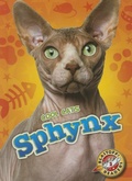 Cover: Sphynx - Bellwether Media