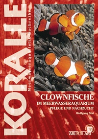 Abbildung von: Clownfische Im Meerwasseraquarium - Natur und Tier