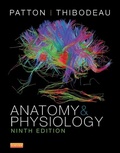 Cover: Anatomy and Physiology - E-Book - Mosby