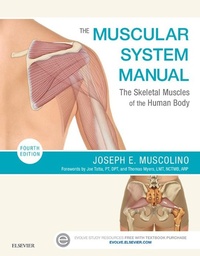 Enlarge image Cover: The Muscular System Manual - Mosby