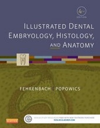 Abbildung von: Illustrated Dental Embryology, Histology, and Anatomy - E-Book - Saunders