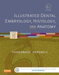 Bild: Illustrated Dental Embryology, Histology, and Anatomy - E-Book - Saunders