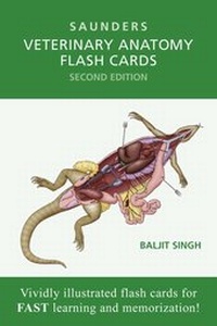 Abbildung von: Veterinary Anatomy Flash Cards - Saunders