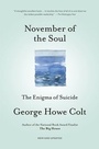 Cover: November of the Soul - Scribner