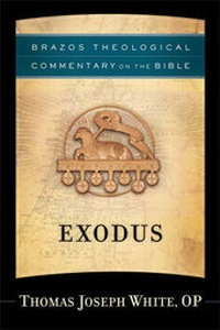Enlarge image Cover: Exodus - Brazos Press, Div of Baker Publishing Group