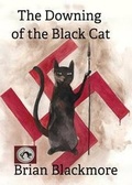 Cover: The Downing of the Black Cat - Braiswick