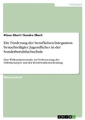 Cover: Die Foerderung der beruflichen Integration benachteiligter Jugendlicher in der Sonderberufsfachschule - GRIN Verlag