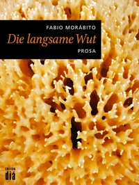 Enlarge image Cover: Die langsame Wut - Edition diá Bln