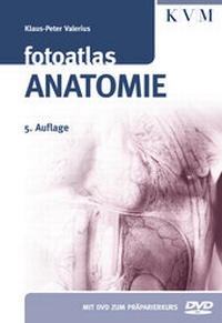 Abbildung von: Fotoatlas Anatomie - KVM - Der Medizinverlag, Ein Unternehmen der Quintessenz Verlagsgruppe