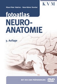 Abbildung von: Fotoatlas Neuroanatomie - KVM - Der Medizinverlag