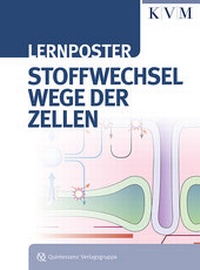 Abbildung von: Lernposter - Stoffwechselwege der Zellen - KVM - Der Medizinverlag, Ein Unternehmen der Quintessenz Verlagsgruppe