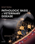 Bild: Pathologic Basis of Veterinary Disease Expert Consult - E-BOOK - Academic Press