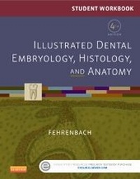 Abbildung von: Student Workbook for Illustrated Dental Embryology, Histology and Anatomy - E-Book - Elsevier