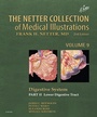 Bild: The Netter Collection of Medical Illustrations: Digestive System: Part II - Lower Digestive Tract - Elsevier