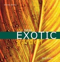 Cover: The New Exotic Garden - Mitchell Beazley
