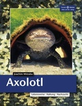 Abbildung von: Axolotl - Natur und Tier