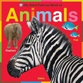 Cover: My Giant Fold-Out Book of Animals - St Martin's Press