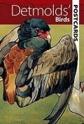 Cover: Detmolds' Birds - Dover Publications Inc.