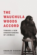 Cover: Wauchula Woods Accord - Scribner Book Company