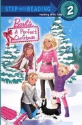 Cover: Perfect Christmas - Turtleback Books