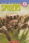 Cover: Spiders - Turtleback Books
