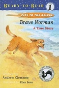 Cover: Brave Norman - Perfection Learning