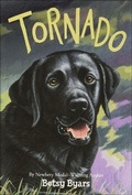 Cover: Tornado - Perfection Learning