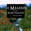 Cover: The Meadow - Blackstone Audiobooks,U.S.
